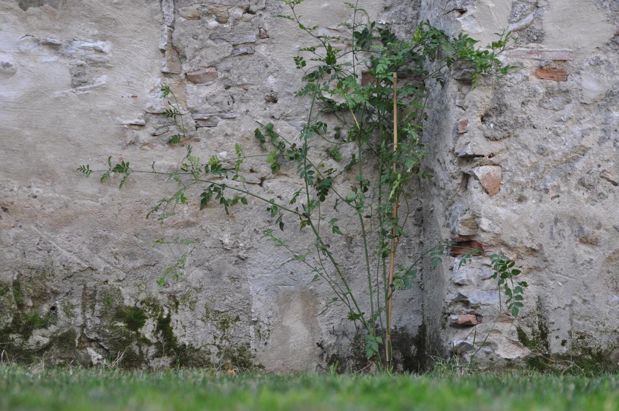 Hotel Convento Tarifa Zewnętrze zdjęcie